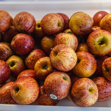 07.12.2025 - 6ª AÇÃO ENTRE AMIGOS (2025)-10