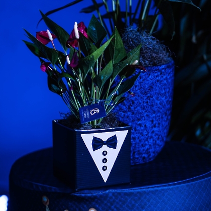 11.08.2023 - BAILE DOS PAIS 2023-6