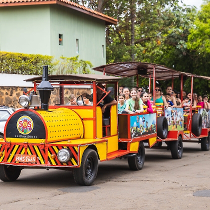 12.10.2025 - FESTA DAS CRIANÇAS 2025-214