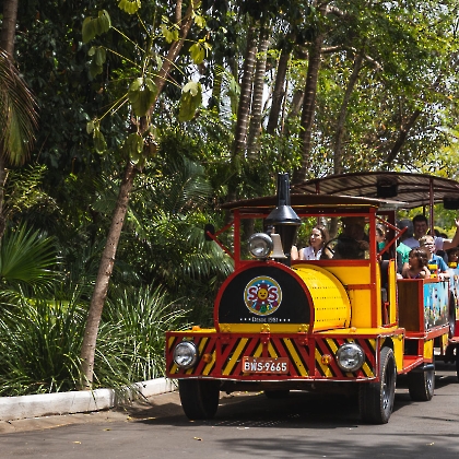 12.10.2025 - FESTA DAS CRIANÇAS 2025-88