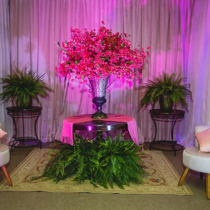 24.10.2025 - BAILE DO ROSA 2025 -7