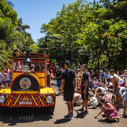 30.11.2025 - CHEGADA DO PAPAI NOEL 2025-36