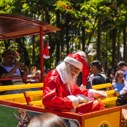 30.11.2025 - CHEGADA DO PAPAI NOEL 2025-38