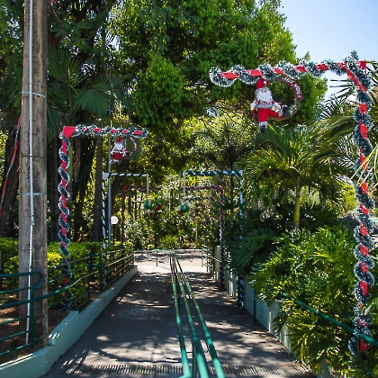 30.11.2025 - CHEGADA DO PAPAI NOEL 2025-4