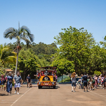 30.11.2025 - CHEGADA DO PAPAI NOEL 2025-69